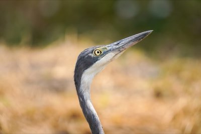 UV-Schutz 99%+ nutzen: Augen gesund halten bei jedem Ausflug