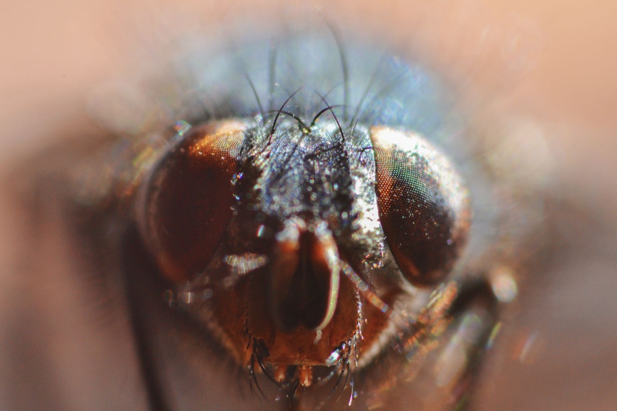 High-Speed Imaging: Quantifying Motion with 240+ FPS Sensors