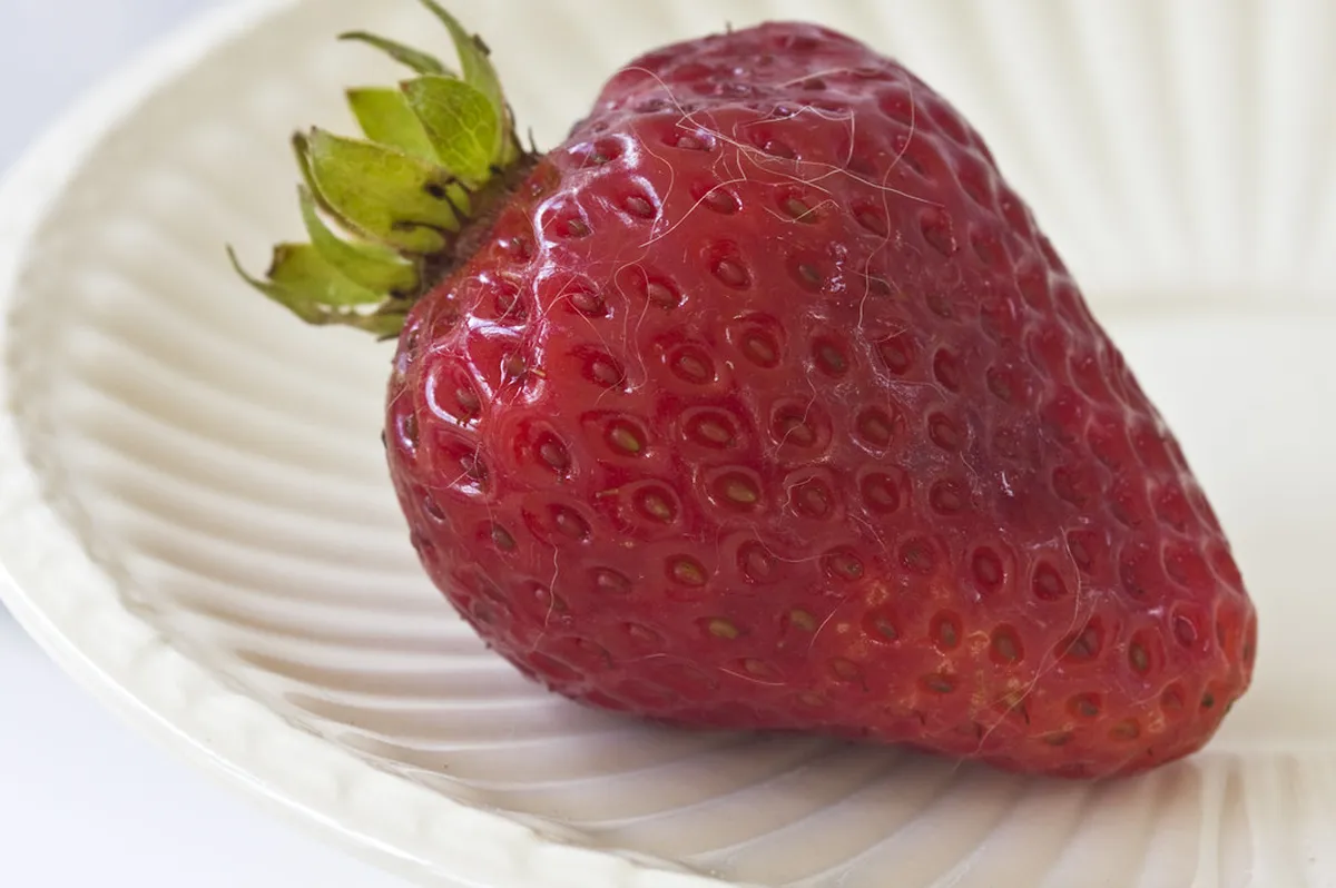 bad eyes good lens, fail, furry, strawberry, berry, closeup, confection, delicious, diet, food, freshness, fruit, health, healthy, juicy, leaf, nutrition, refre