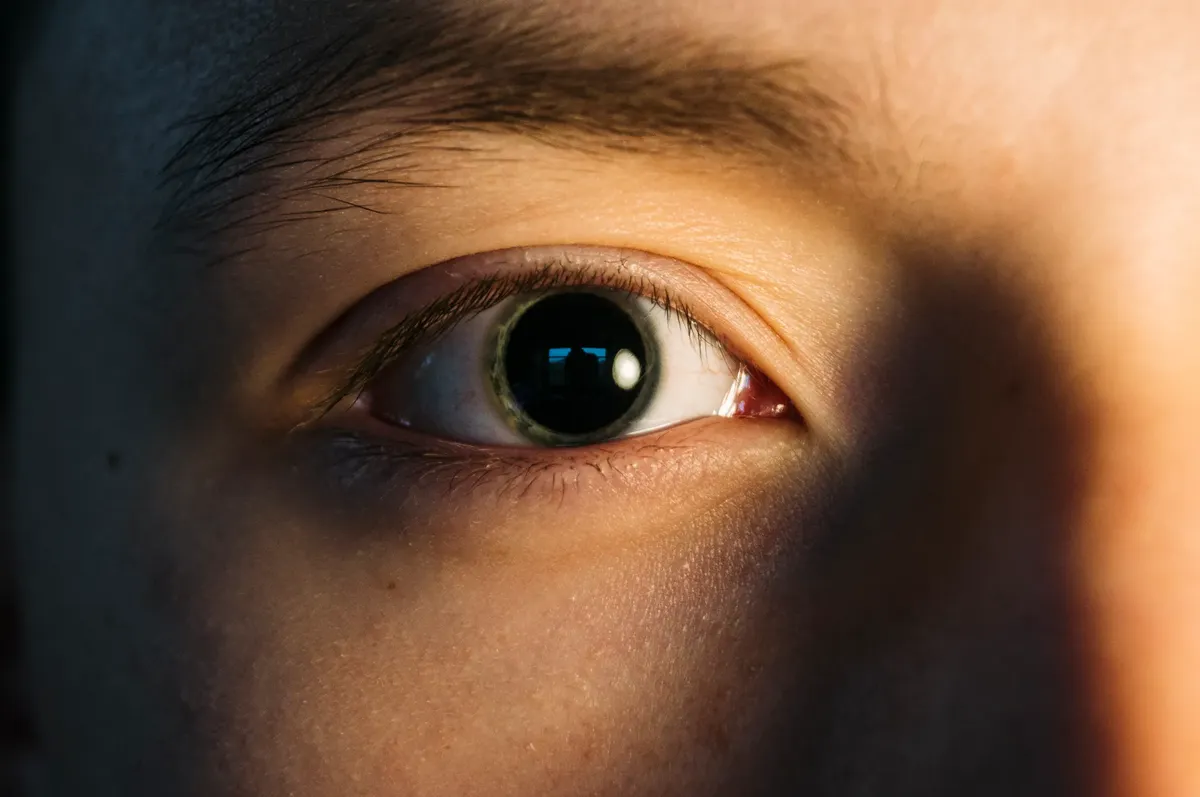 Detailed close-up of a human eye with shadow highlighting the textures and pupil.