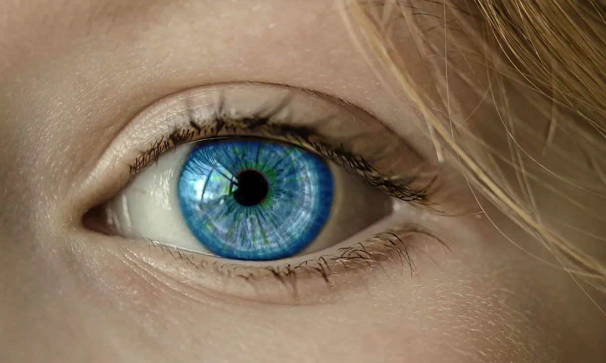 eye, blue eye, iris, pupil, eyeball, eyelashes, retina, eyesight, vision, look, looking, eyelid, face, close up, view, see, optics, eye, eye, eye, eye, eye