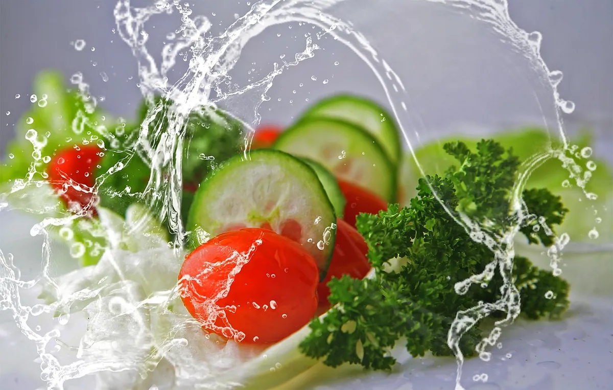 meal, salad, cucumbers, food, leaves, tomatoes, mixed, water, fresh, healthy, nourishment, nature, vitamins, vegetarian, lettuce, bio, yummy, mixed salad, lettu