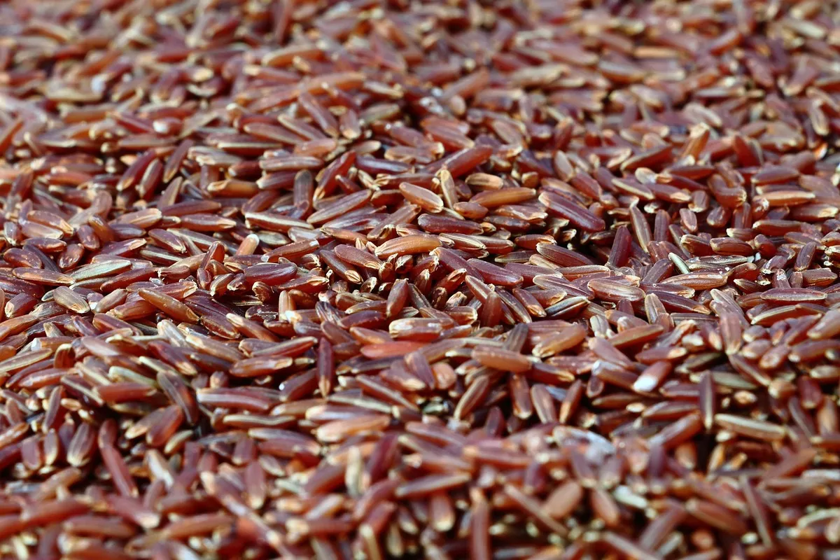 red rice, rice, healthy, diet, meal, food, red rice, red rice, red rice, red rice, red rice