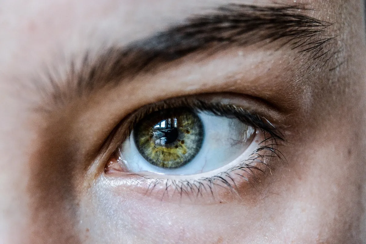 eye, green, eyelashes, eyebrow, eyelid, vision, focus, retina, iris, pupil, human eye, green eye, close up, human, face, girl, woman, look, skin, eye, eye, eye,
