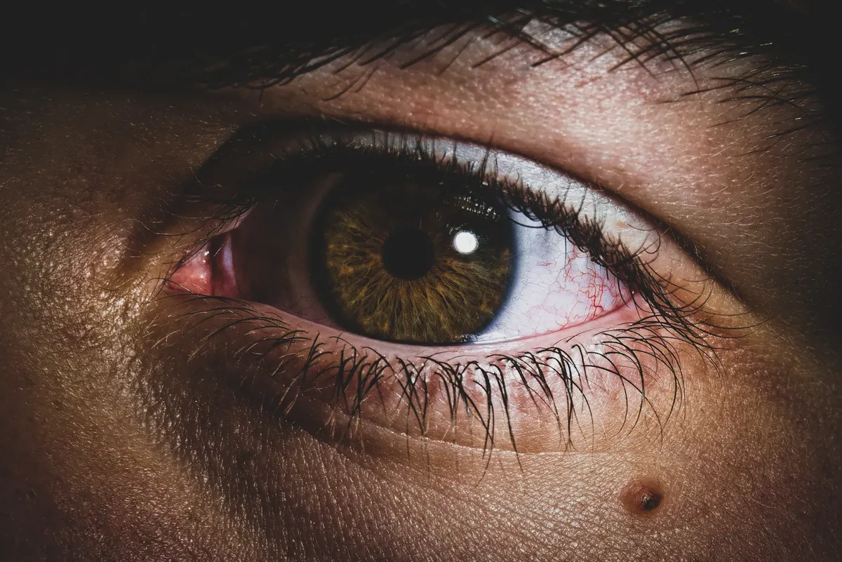 Detailed close-up of a brown eye showcasing texture and realism.
